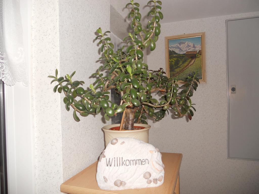 Ferienhaus In Hafennahe Apartment Sassnitz Phòng bức ảnh